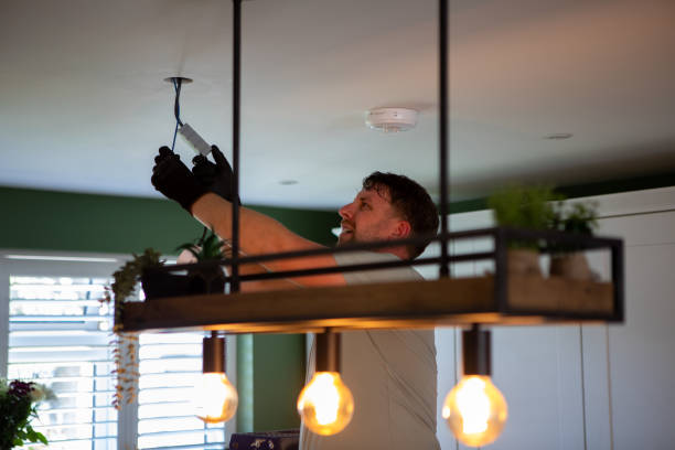 Best Electric Panel Repair  in Larksville, PA